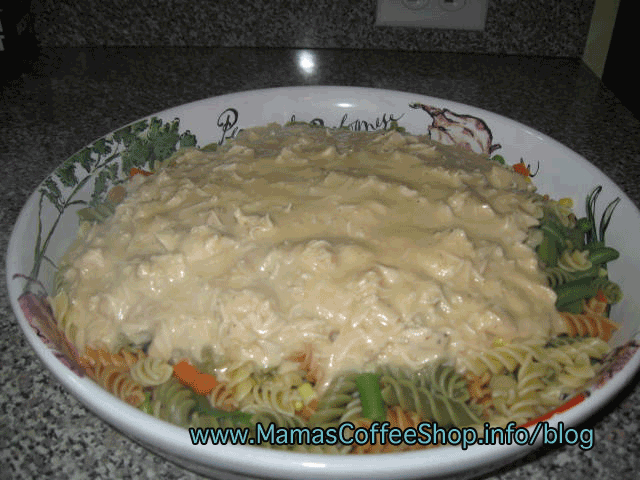 ready-to-mix-pasta-with-chicken-cheese-sauce