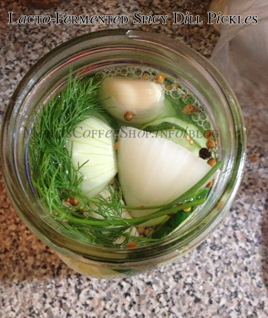lacto-fermented-spicy-dill