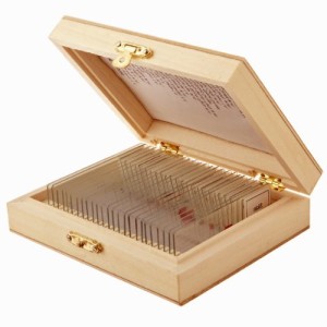 25-piece-slide-specimen
