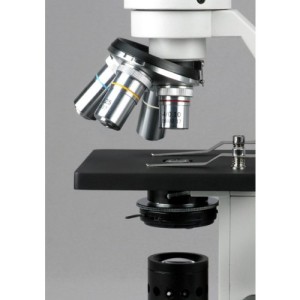 close-up-Amscope