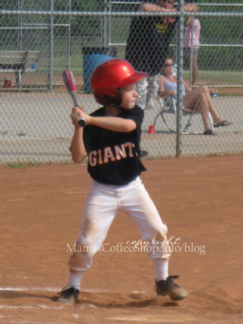 Bubba-2008-baseball