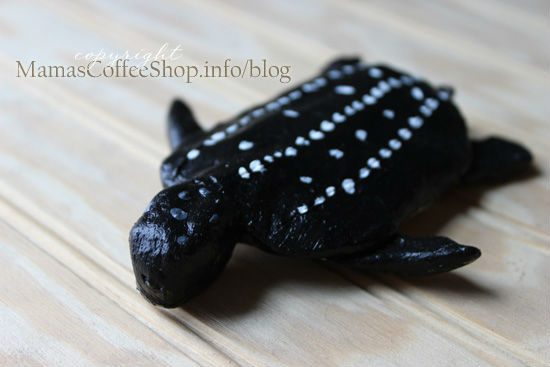 MCS-Leatherback-Turtle
