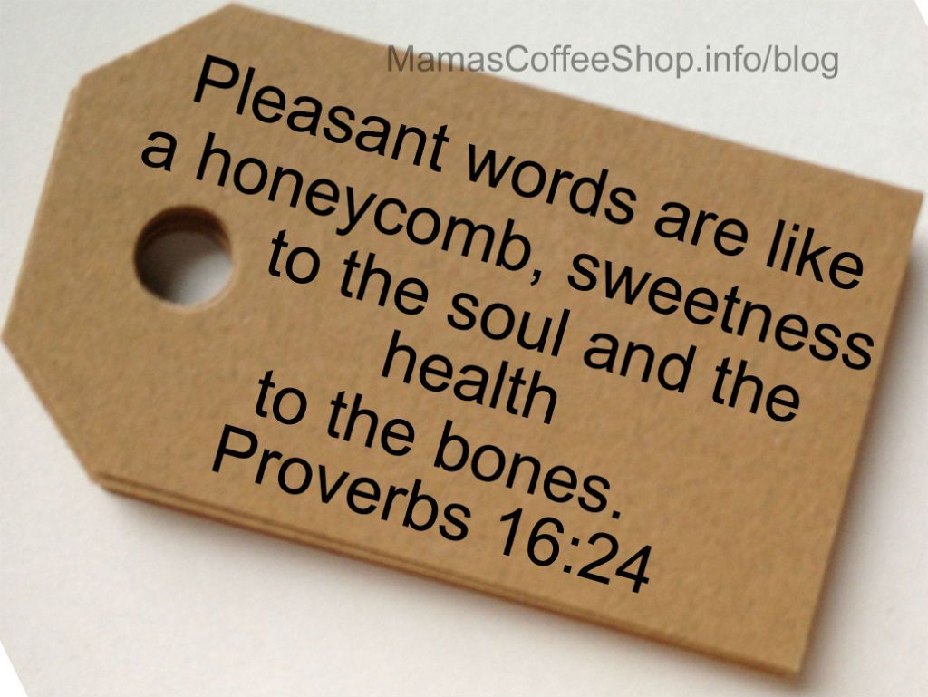 MCS-Proverbs16-24