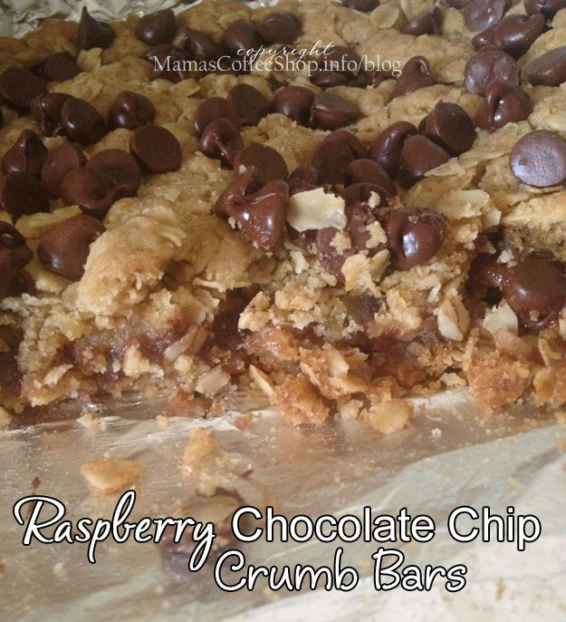 MCS-Raspberry-Chocolate-Chip-Crumb-Bars