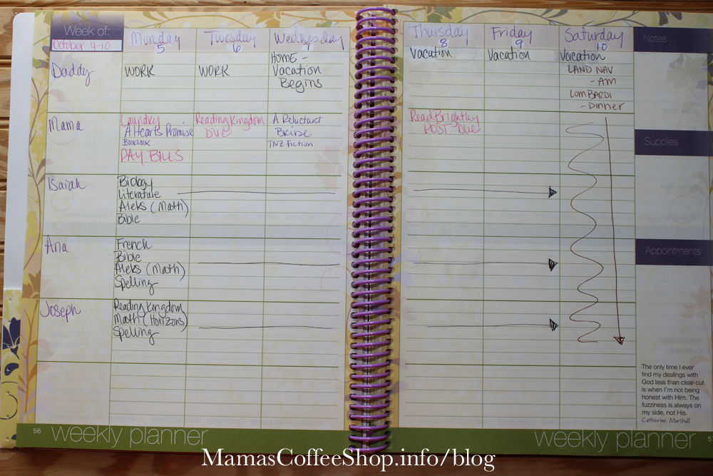 MamasCoffeeShop-AEM-WeekOverview