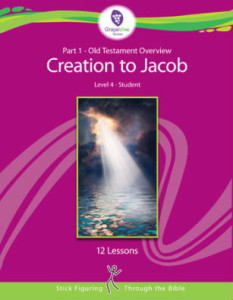 Middle School Stick Figuring Through the Bible Level 4