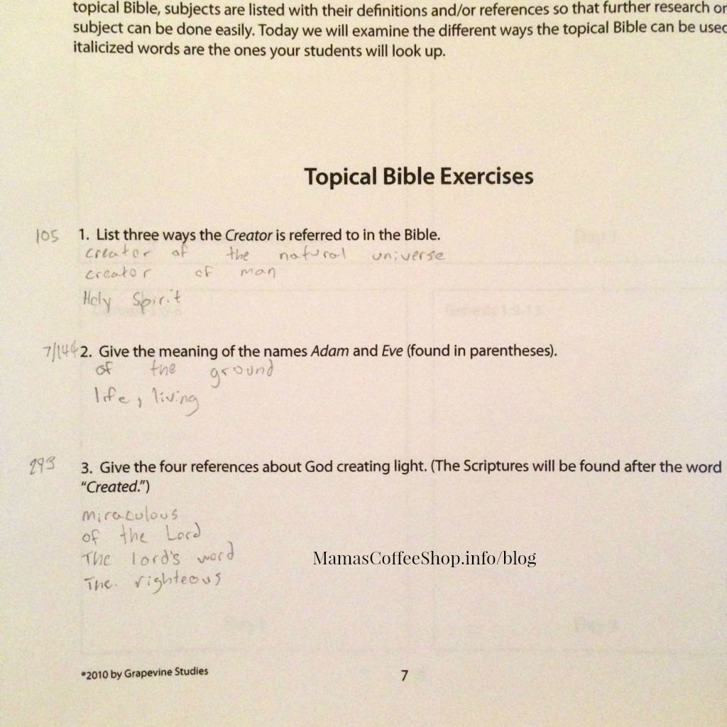 Stick Figuring Through the Bible