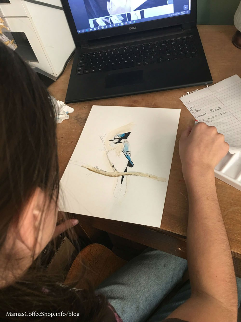 Blue Jay